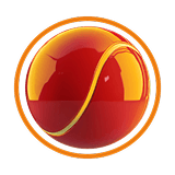 Type_Cricket